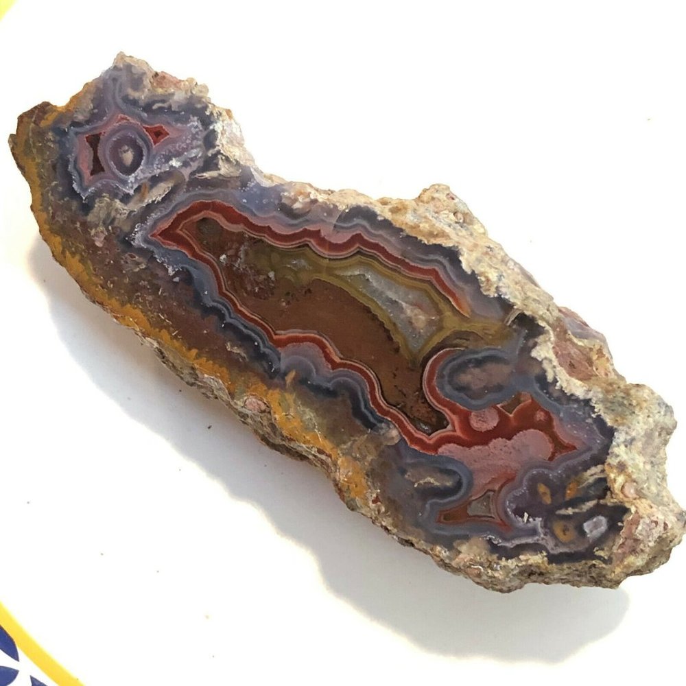 Laguna Agate Polished Collector Specimen Half Nodule